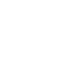 Netic